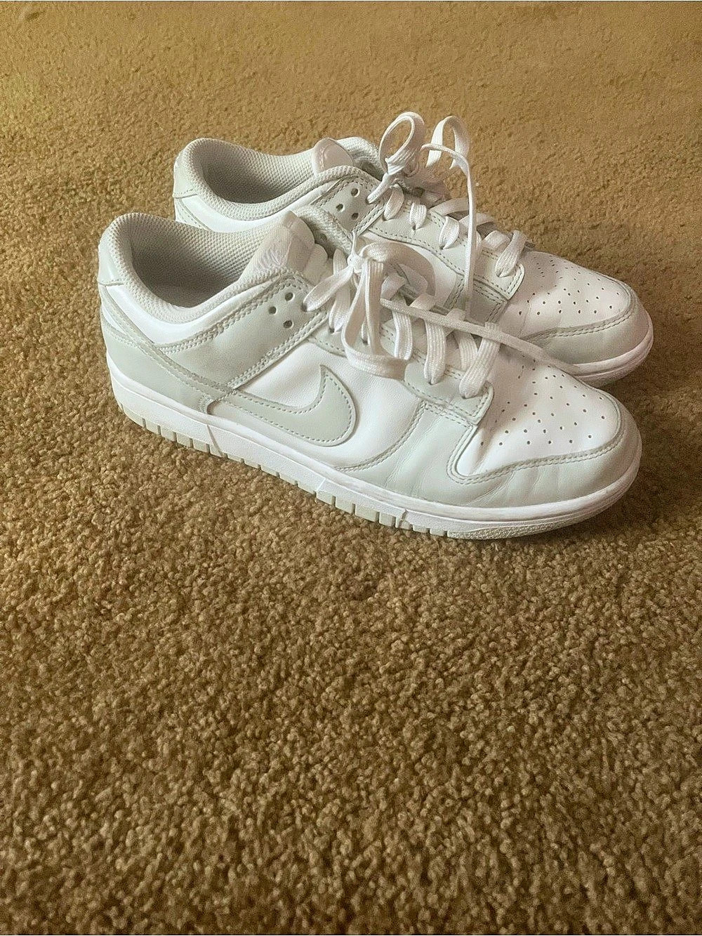 Nike Dunk Low